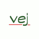 Logo Verein für Erlebnispädagogik und Jugendsozialarbeit e.V.