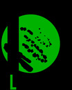 Logo MVZ Medizinische Labore Dessau Kassel GmbH