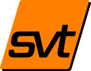 Logo svt Services Holding GmbH